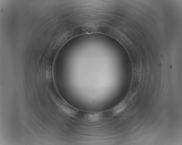 X0000073520134200607311233