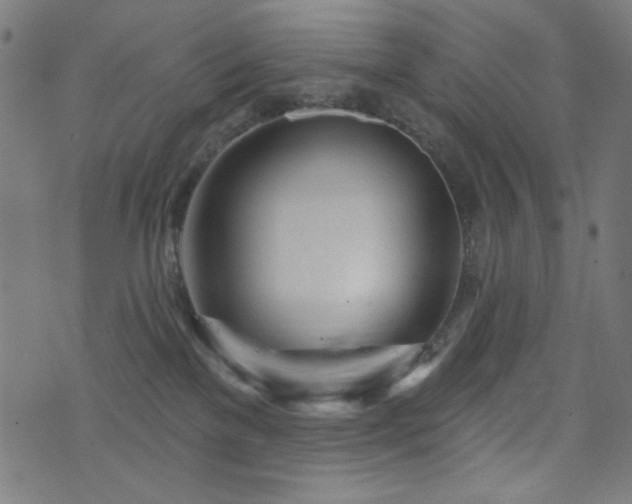 X0000073520137200607311233