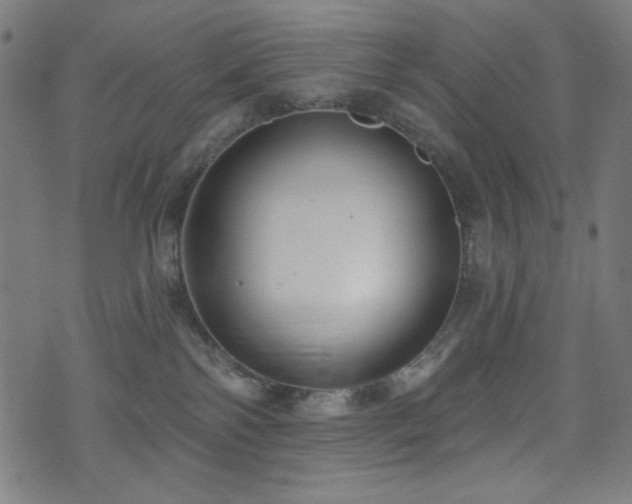 X0000073520138200607311233