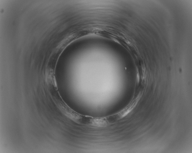X0000073520141200607311233