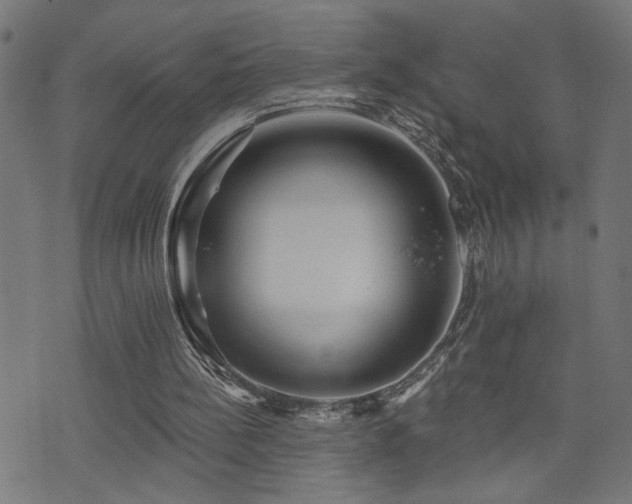 X0000073520148200607311232