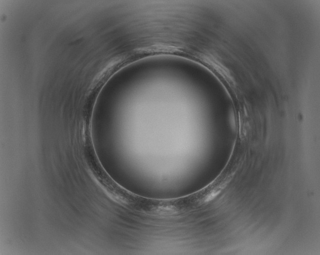 X0000073520157200607311233