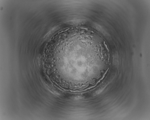 X0000073520165200607311233