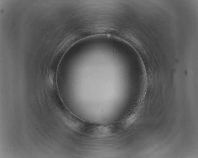 X0000073520166200607311233
