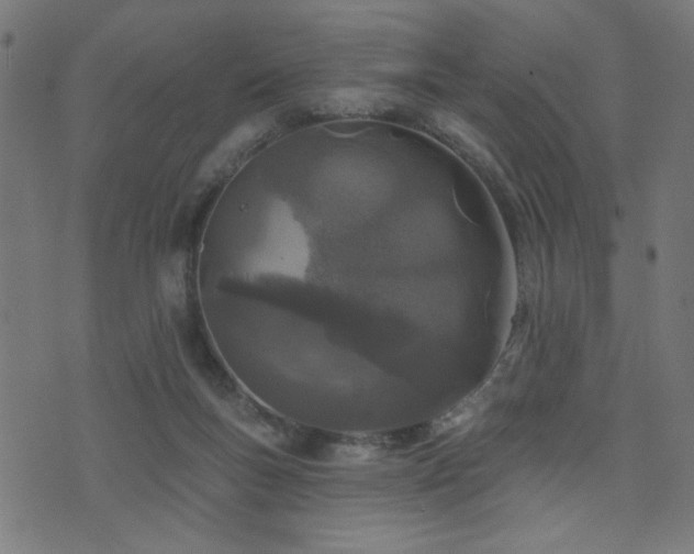 X0000073520167200607311233