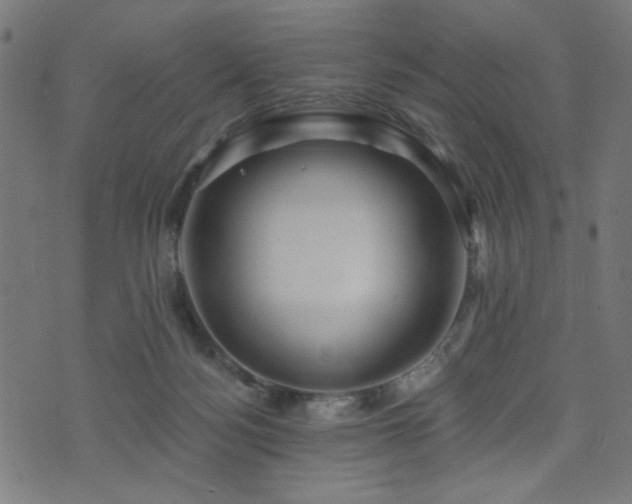 X0000073520172200607311233