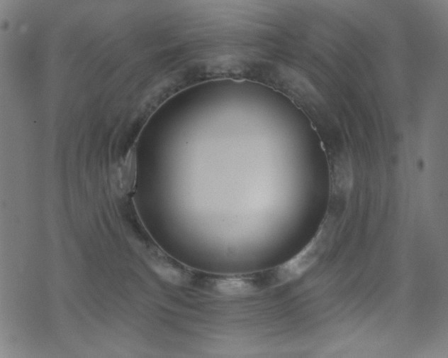 X0000073520183200607311233
