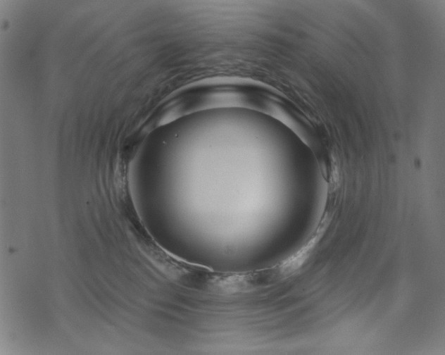 X0000073520186200607311233