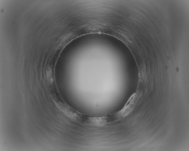 X0000073520187200607311233