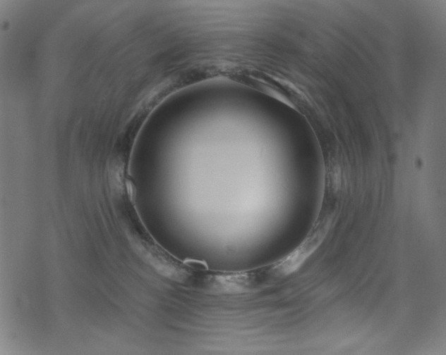 X0000073520188200607311233