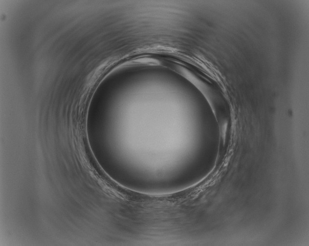 X0000073520193200607311232