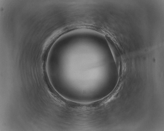 X0000073520197200607311232