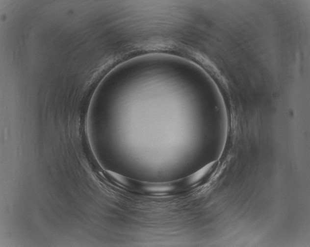 X0000073520201200607311232