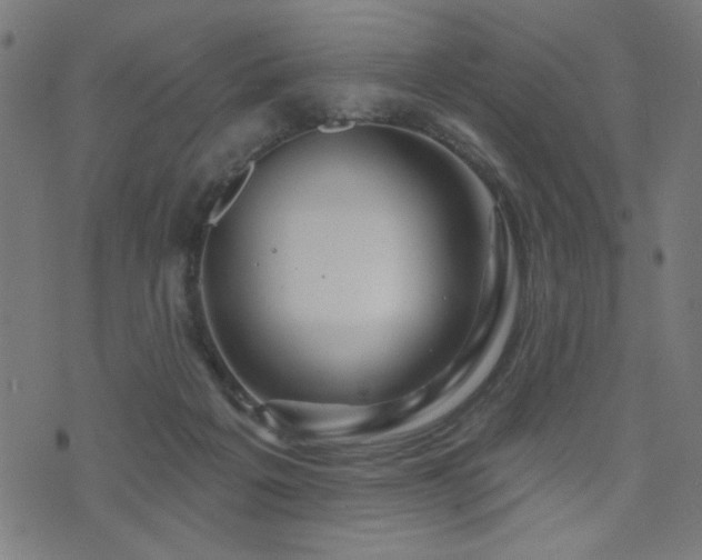 X0000073520217200607311232