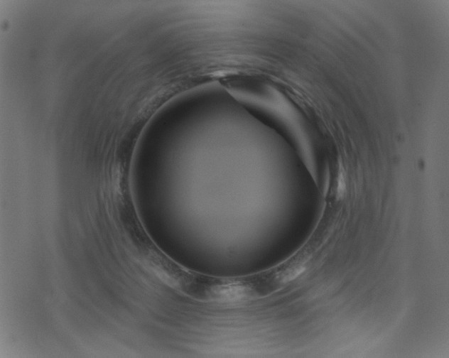 X0000073520219200607311232