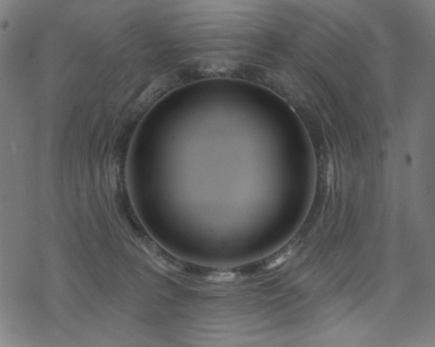 X0000073520227200607311232