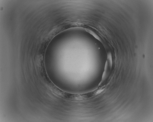 X0000073520229200607311232