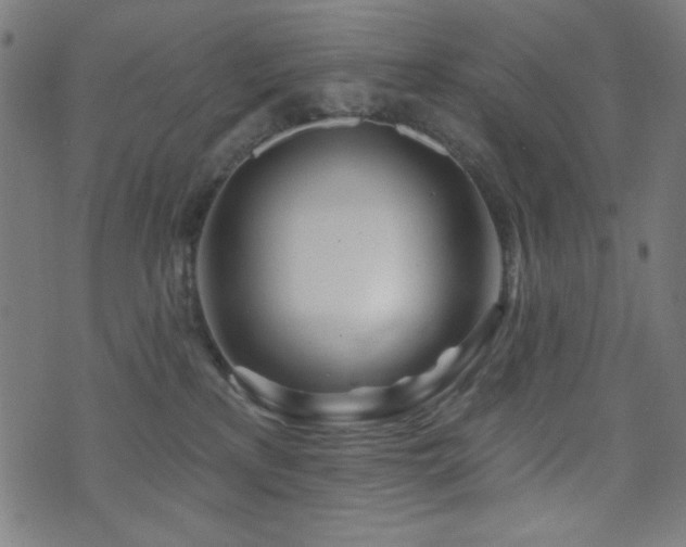 X0000073520233200607311232