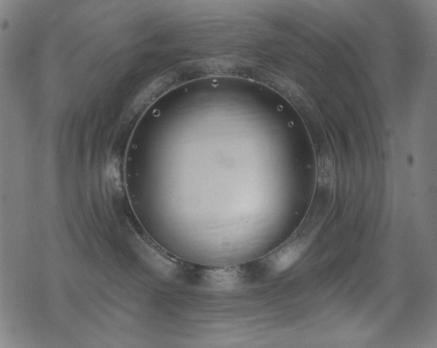 X0000073520238200607311232
