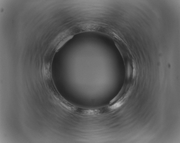 X0000073520239200607311232