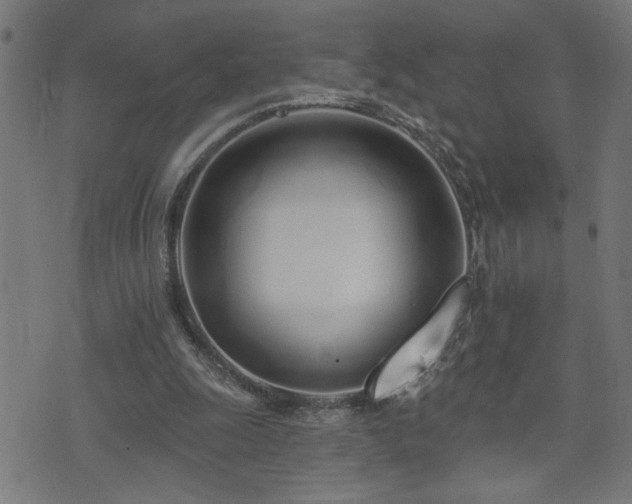 X0000073520247200607311231