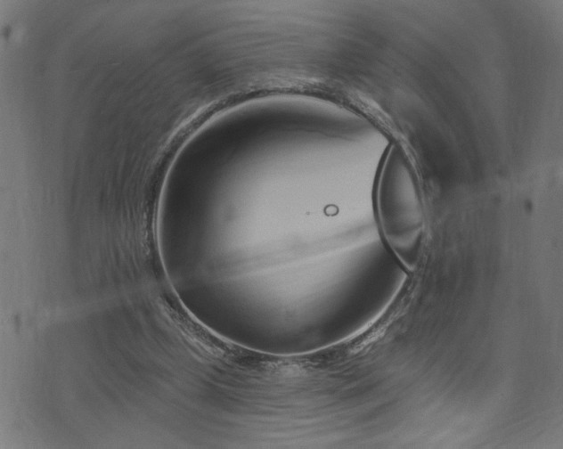 X0000073520249200607311231