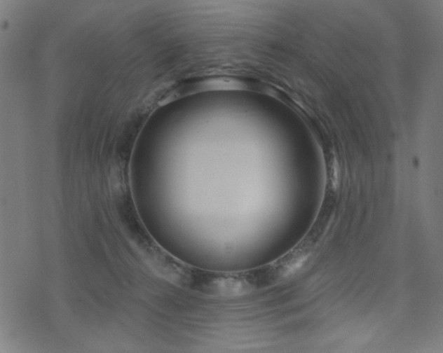 X0000073520272200607311231
