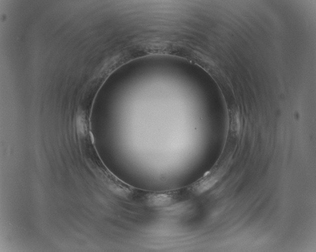 X0000073520287200607311232