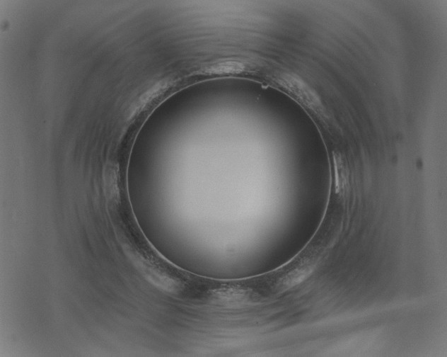 X0000073520300200607311231