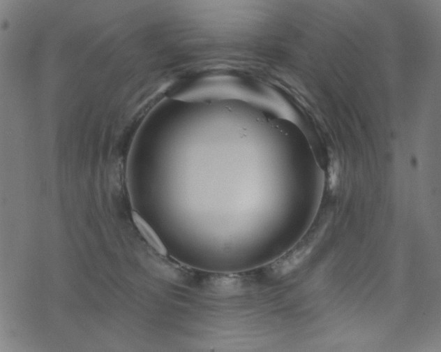 X0000073520325200607311230