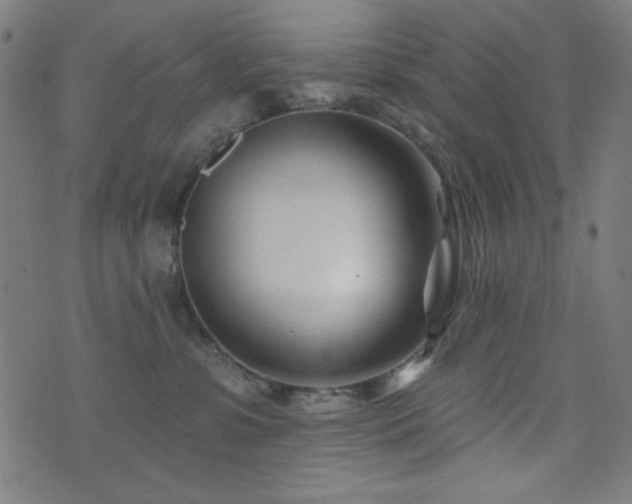 X0000073520331200607311230