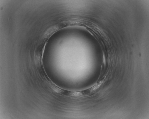 X0000073520333200607311230