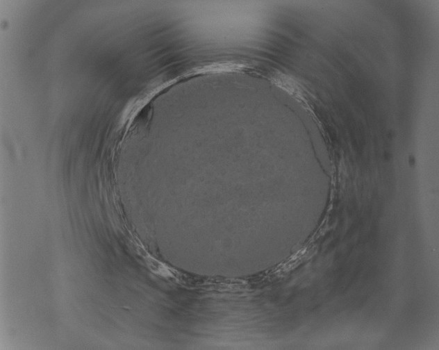 X0000073520337200607311229