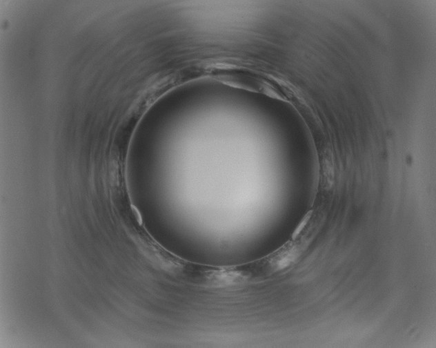 X0000073520379200607311230