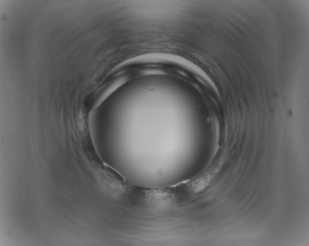 X0000073520380200607311230