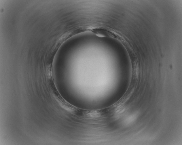 X0000073520383200607311230