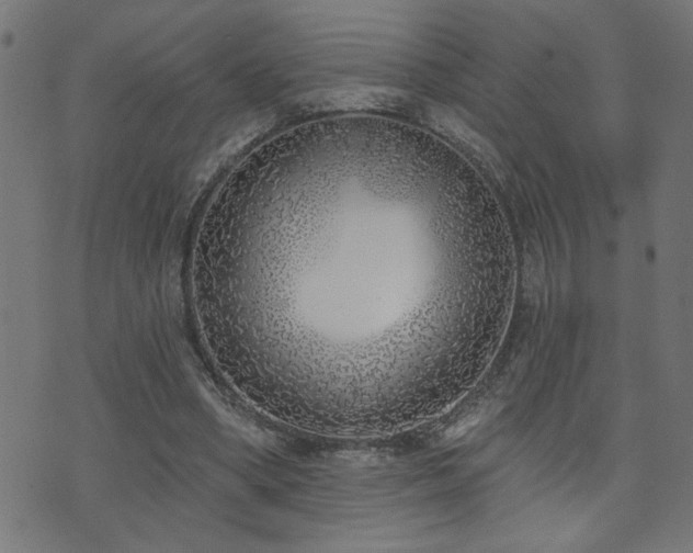 X0000073520394200607311229
