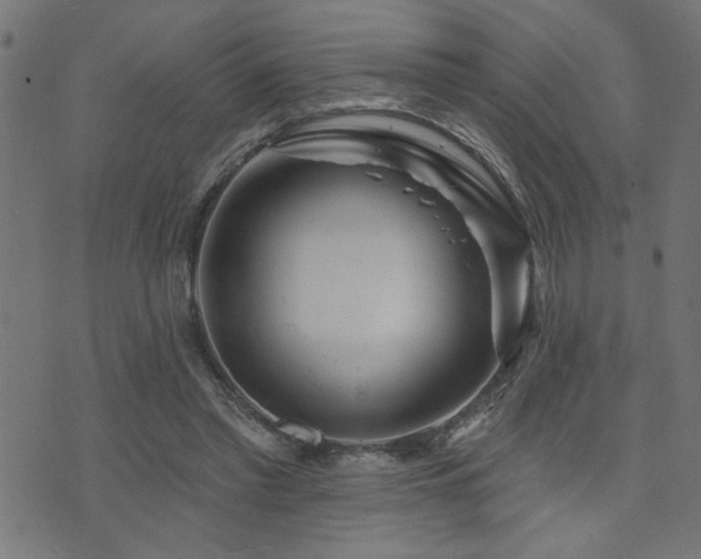 X0000073520397200607311229
