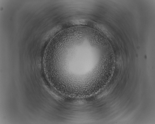 X0000073520402200607311229