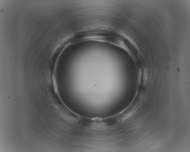 X0000073520403200607311229