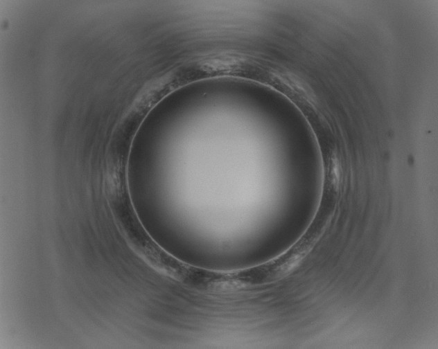 X0000073520408200607311229