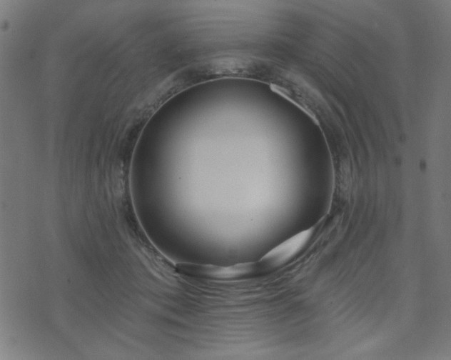 X0000073520413200607311229