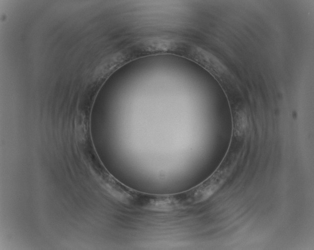 X0000073520414200607311229