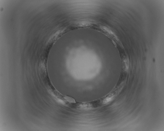 X0000073520415200607311229