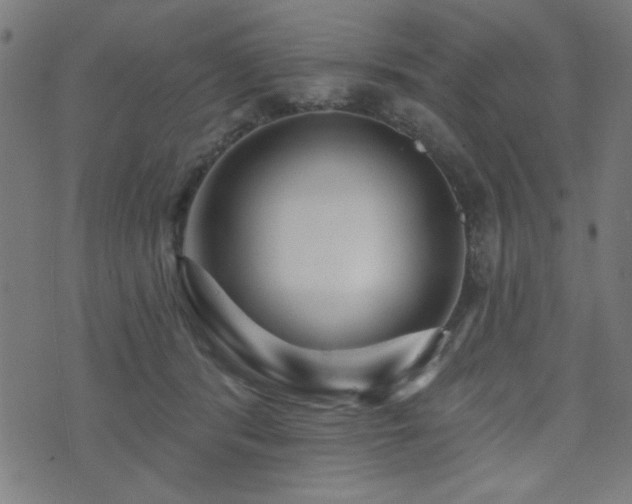 X0000073520416200607311229