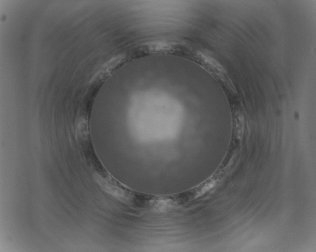 X0000073520419200607311229