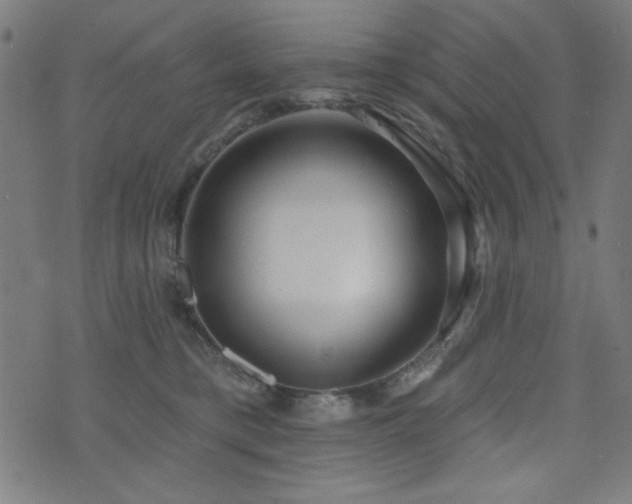 X0000073520421200607311229