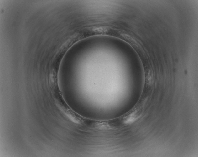 X0000073520424200607311229