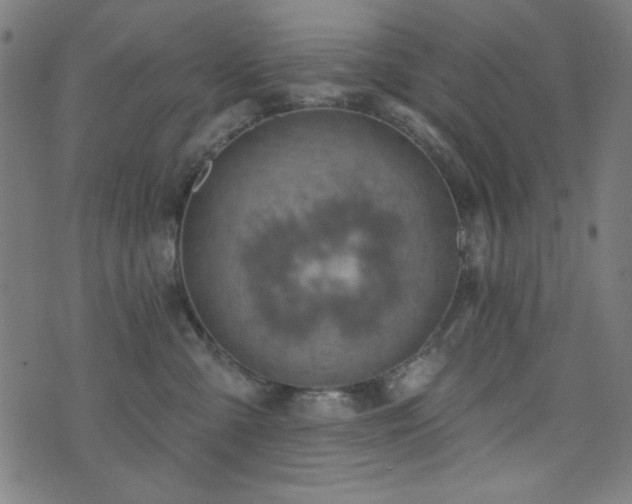 X0000073520427200607311229