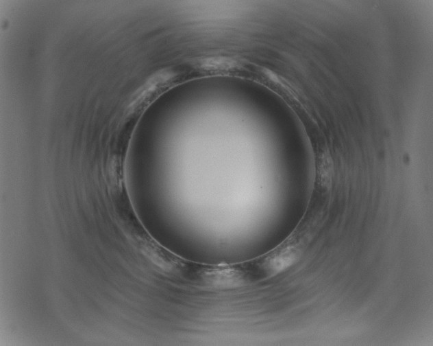 X0000073520428200607311229